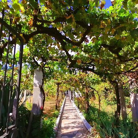 Morin Grey Casa En El Corazon De La Ribeira Sacra Villa มงฟอร์เต เด เลมอส ภายนอก รูปภาพ