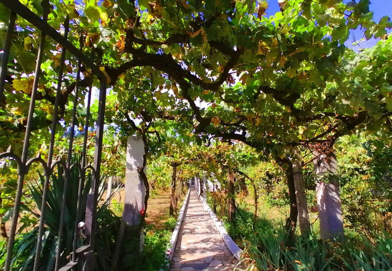 Morin Grey Casa En El Corazon De La Ribeira Sacra Villa มงฟอร์เต เด เลมอส ภายนอก รูปภาพ