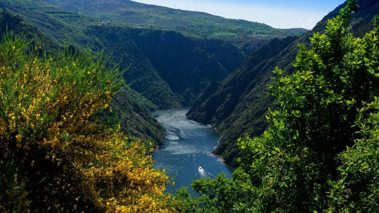 Morin Grey Casa En El Corazon De La Ribeira Sacra Villa มงฟอร์เต เด เลมอส ภายนอก รูปภาพ