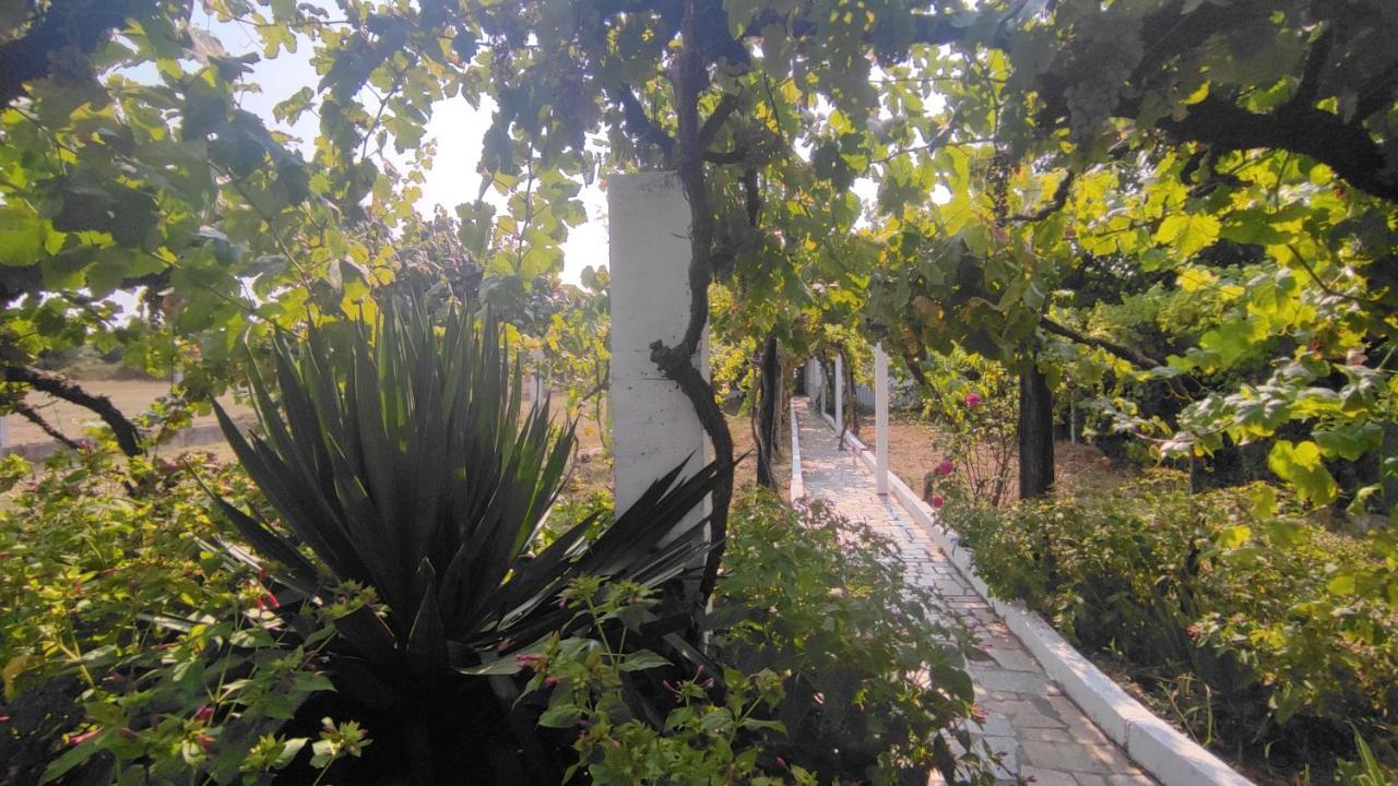Morin Grey Casa En El Corazon De La Ribeira Sacra Villa มงฟอร์เต เด เลมอส ภายนอก รูปภาพ