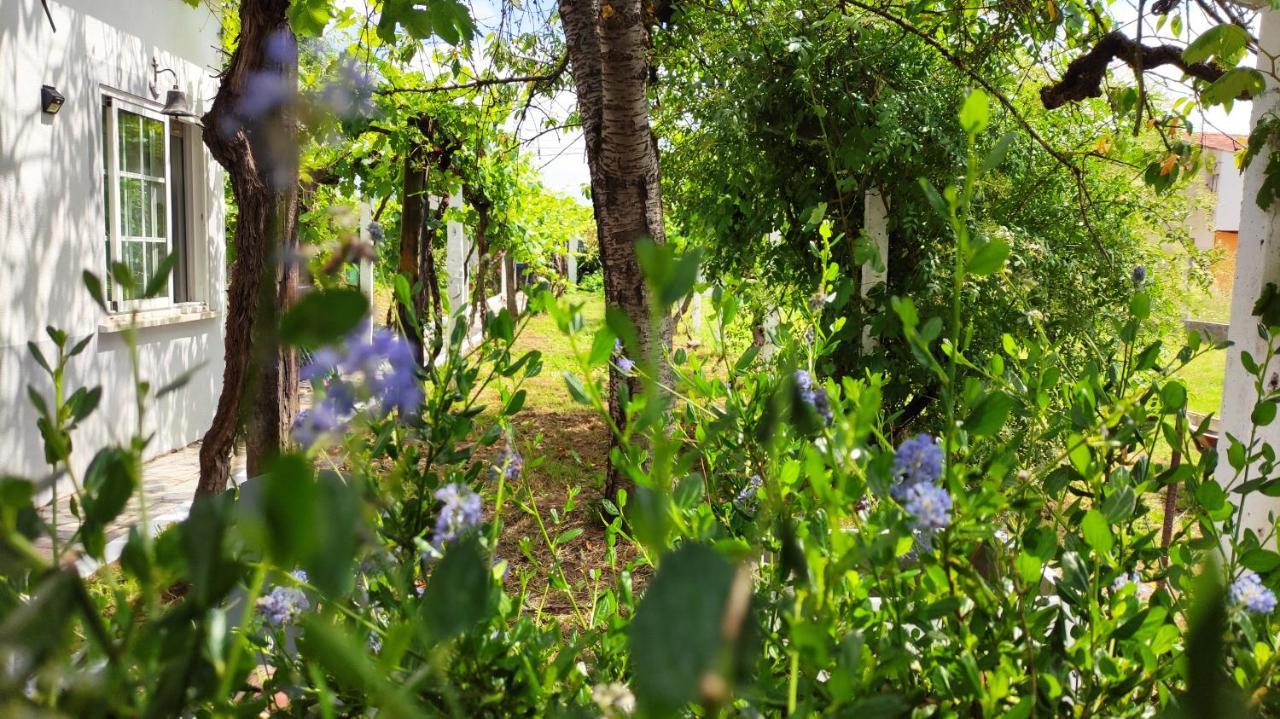 Morin Grey Casa En El Corazon De La Ribeira Sacra Villa มงฟอร์เต เด เลมอส ภายนอก รูปภาพ