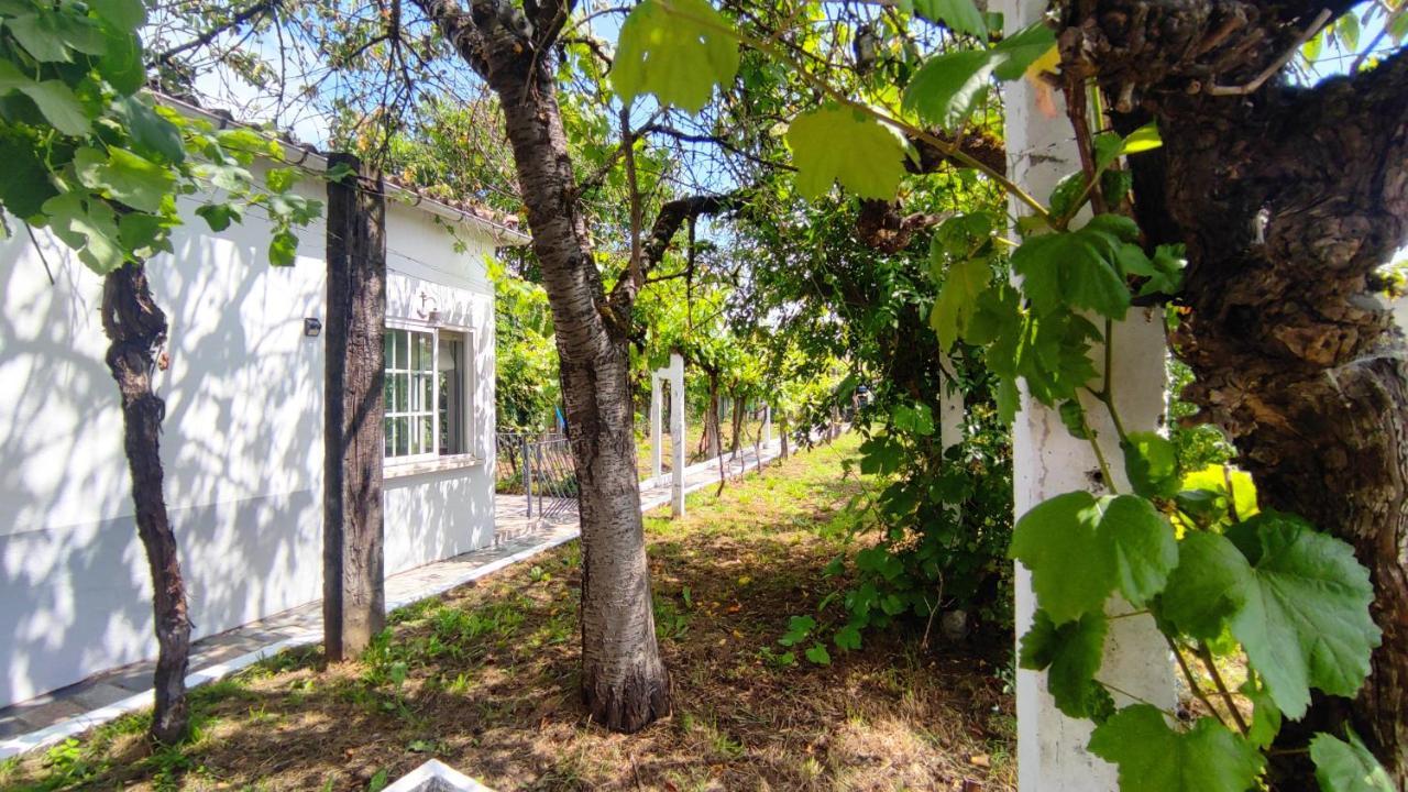 Morin Grey Casa En El Corazon De La Ribeira Sacra Villa มงฟอร์เต เด เลมอส ภายนอก รูปภาพ