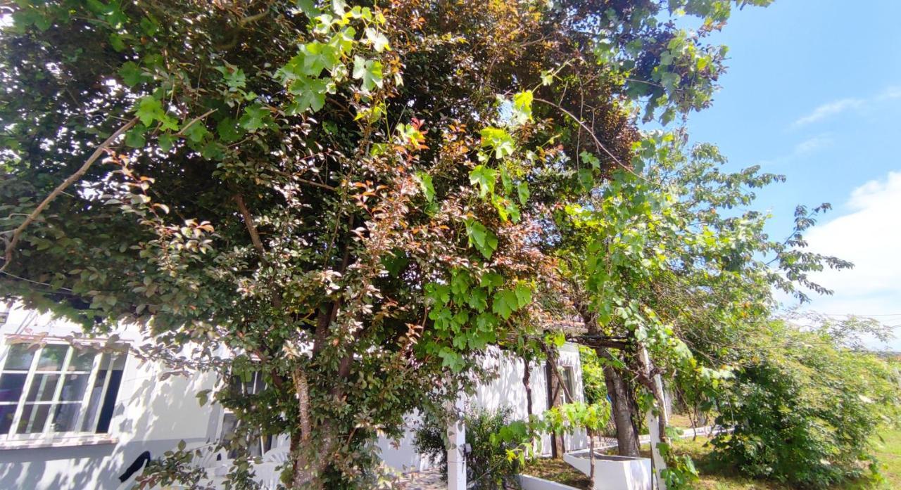Morin Grey Casa En El Corazon De La Ribeira Sacra Villa มงฟอร์เต เด เลมอส ภายนอก รูปภาพ